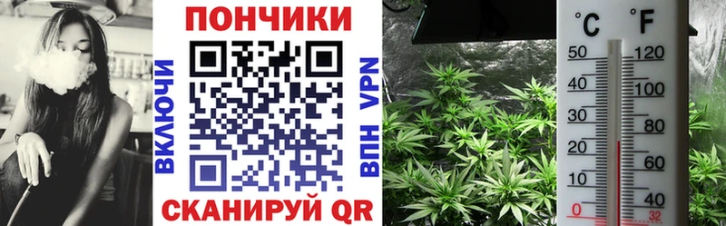 блэк спрут Кувшиново Канабис конопля купить закладку